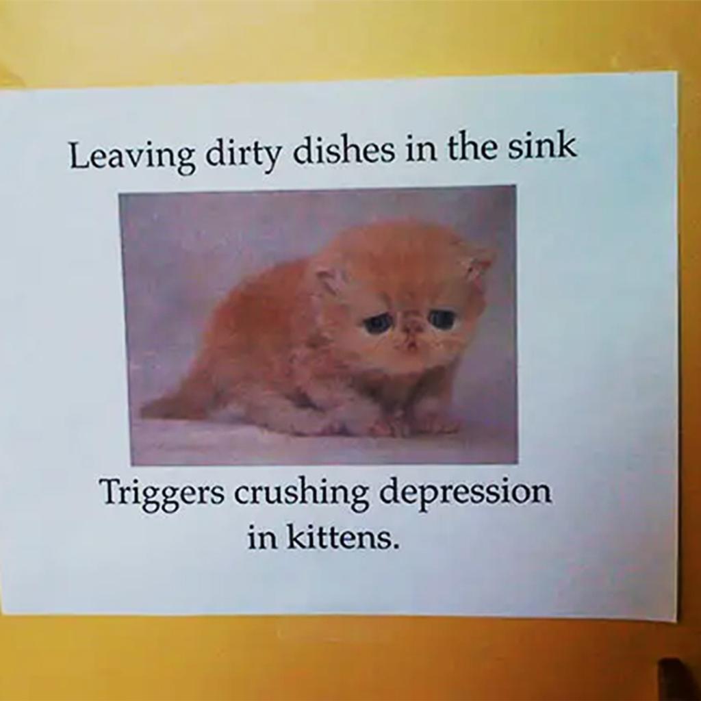 Preventing Depression in Kittens Office Notes
