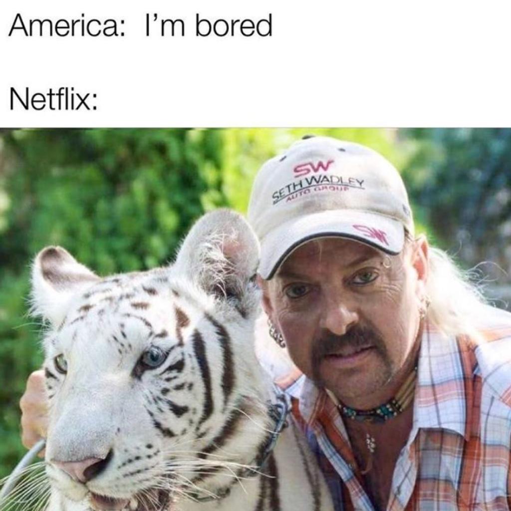 Tiger King Takeover 2020 Memes