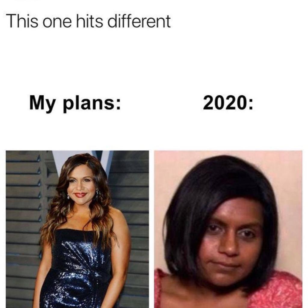 2020 vs. Plans 2020 Memes
