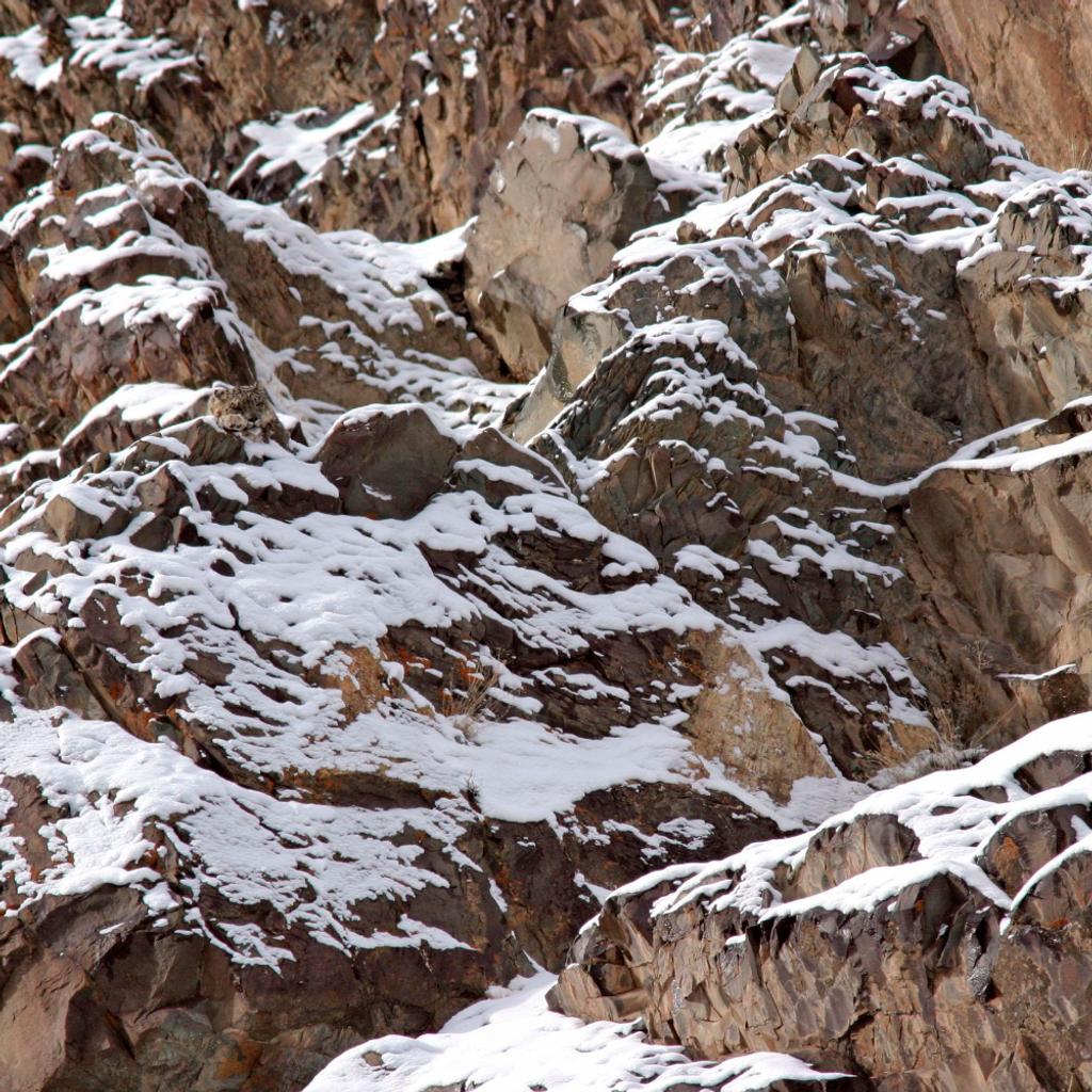 Snow Leopard, Where's Waldo
