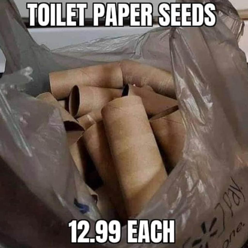 Hold Onto Your Toilet Paper 2020 Memes