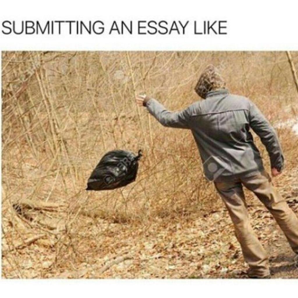 Submitting an Essay 2020 Memes