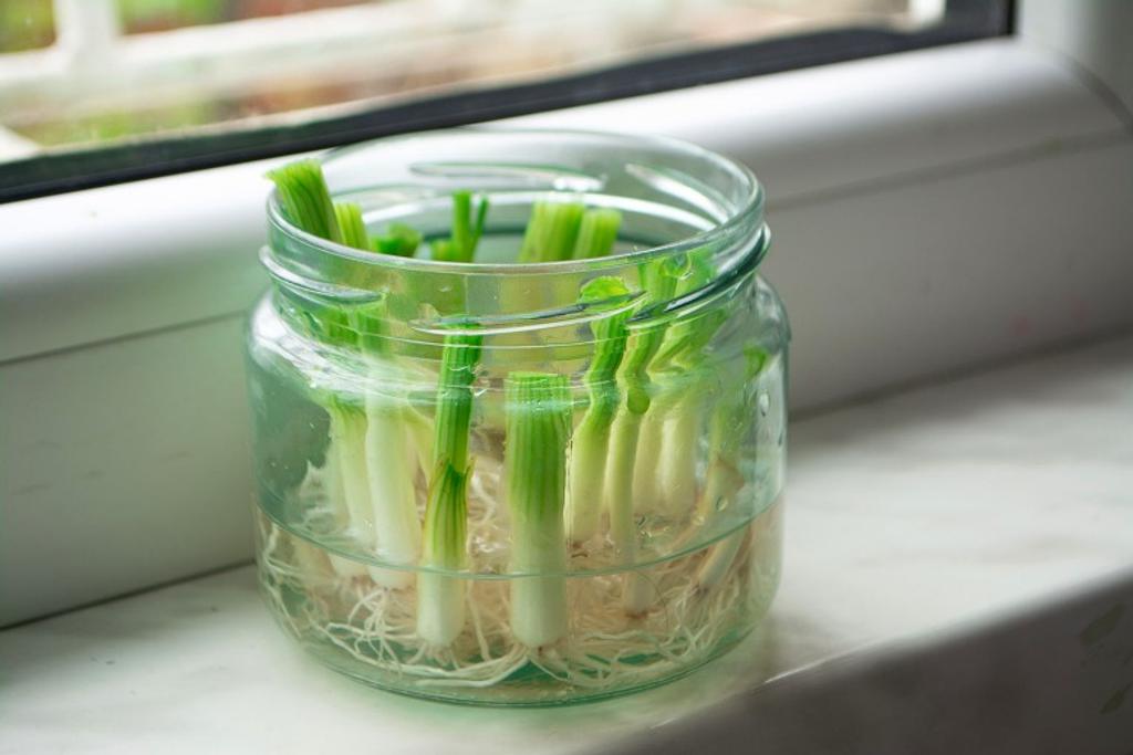 DIY Garden Onion Jars