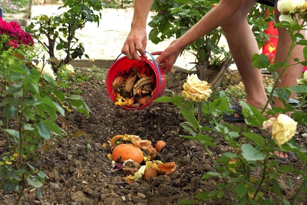 DIY Garden Kitchen Fertilizer 