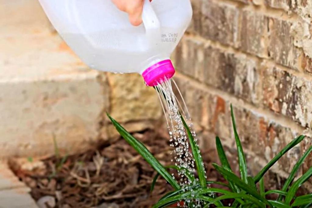 DIY Garden Watering Can