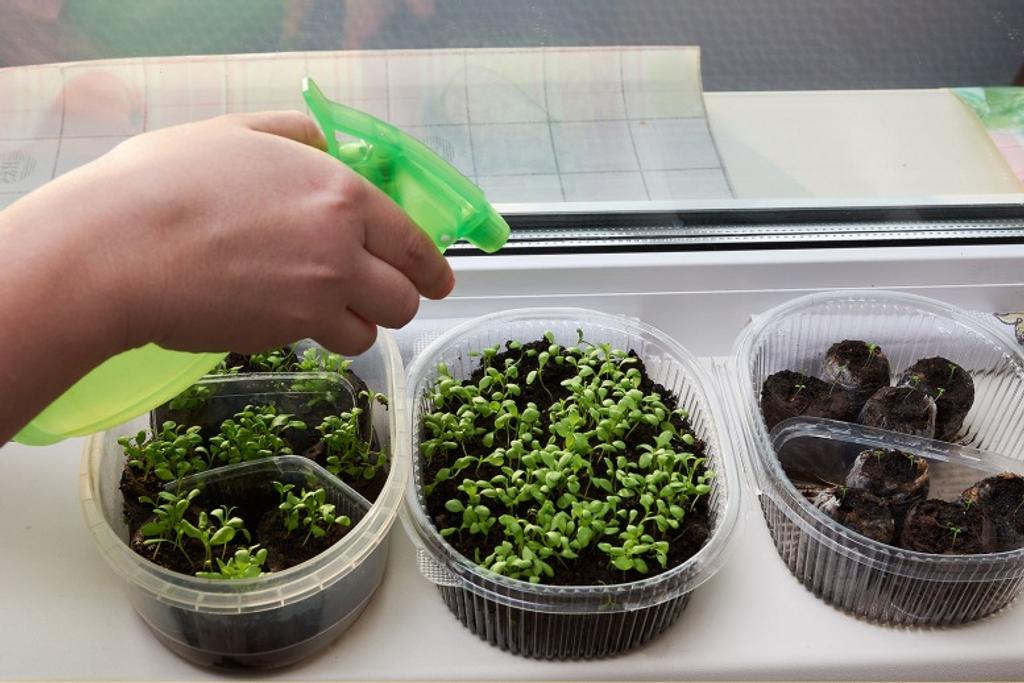 DIY Garden Plastic Greenhouse