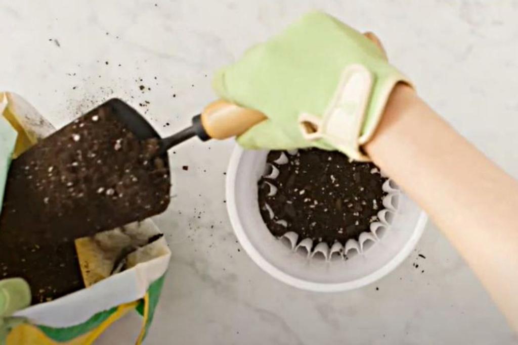 DIY Garden Coffee Filters