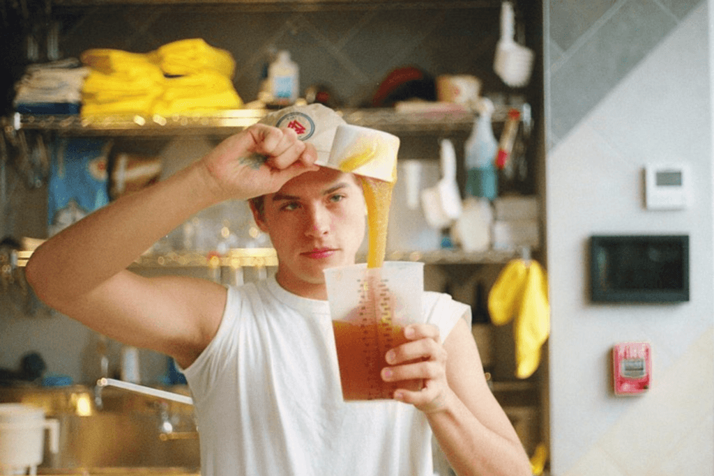 Dylan Sprouse Celeb Jobs