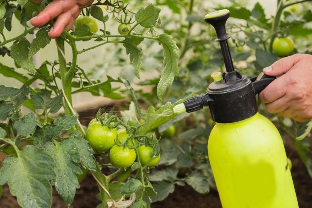 DIY Garden Homemade Spray