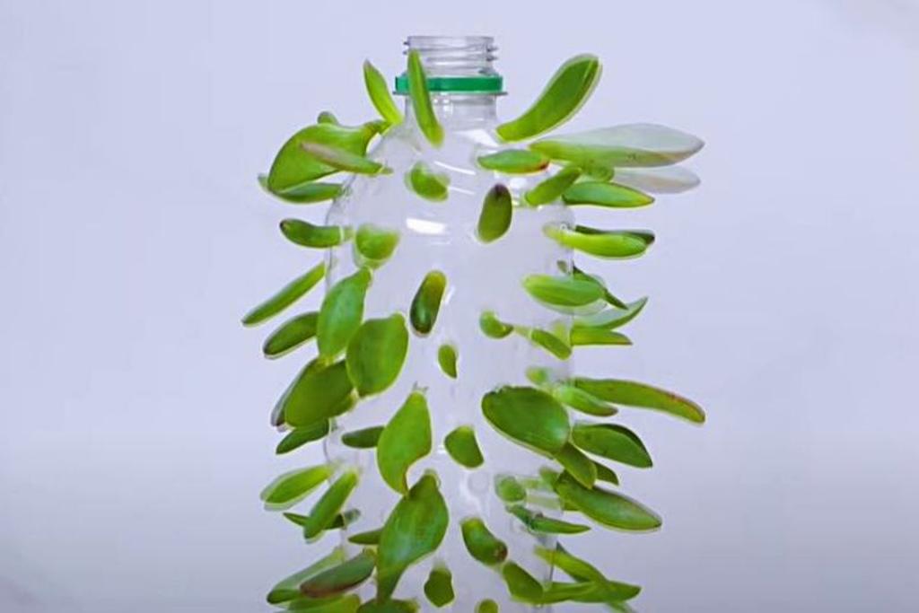 Water Bottle DIY tips