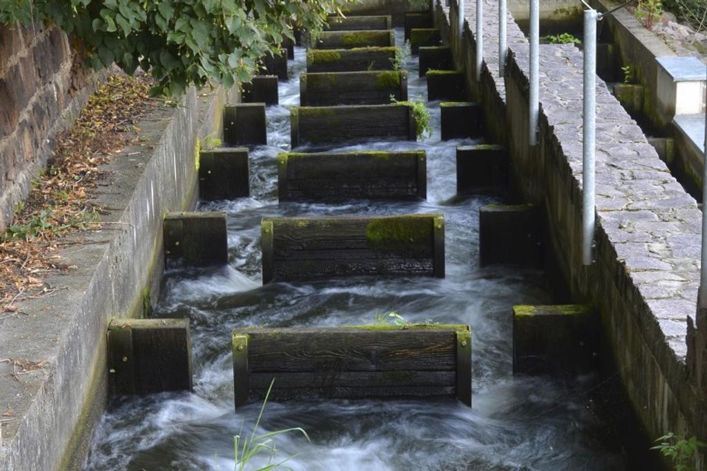 unique infrastructure, Salmon Stairs