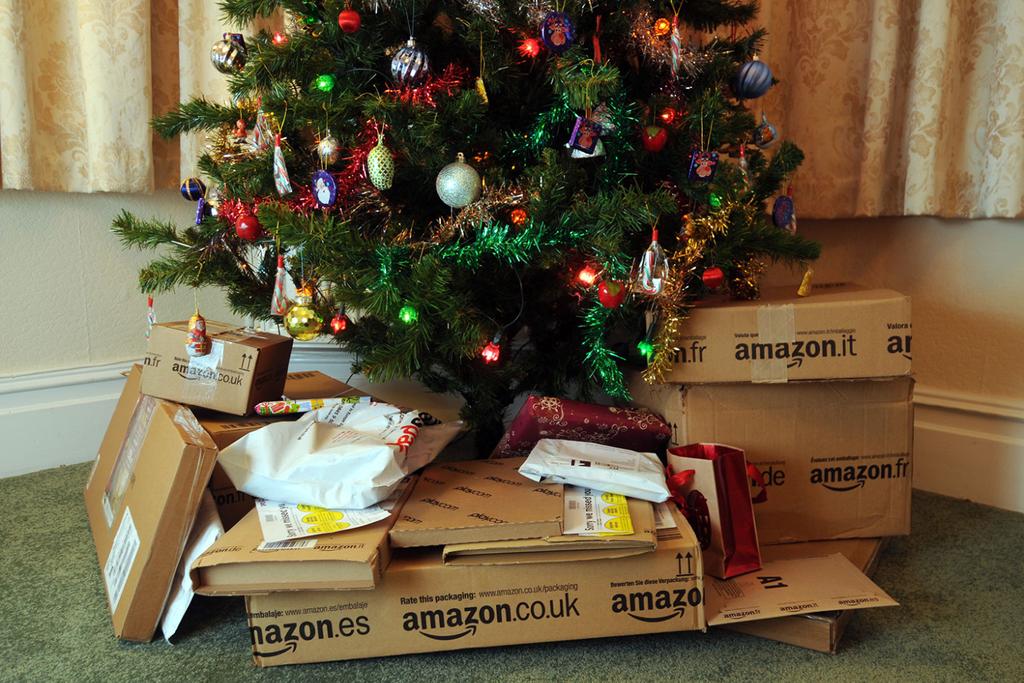 Amazon Holiday Gift List