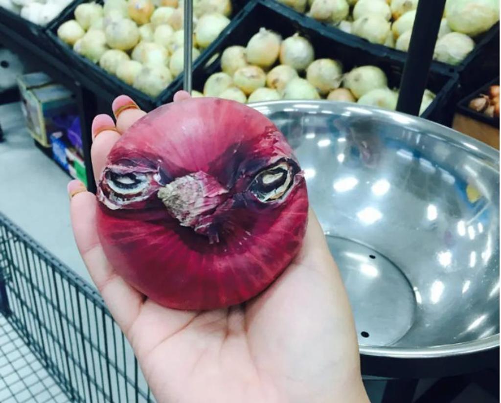 angry bird face onion 