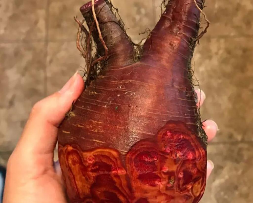 beet looks like heart