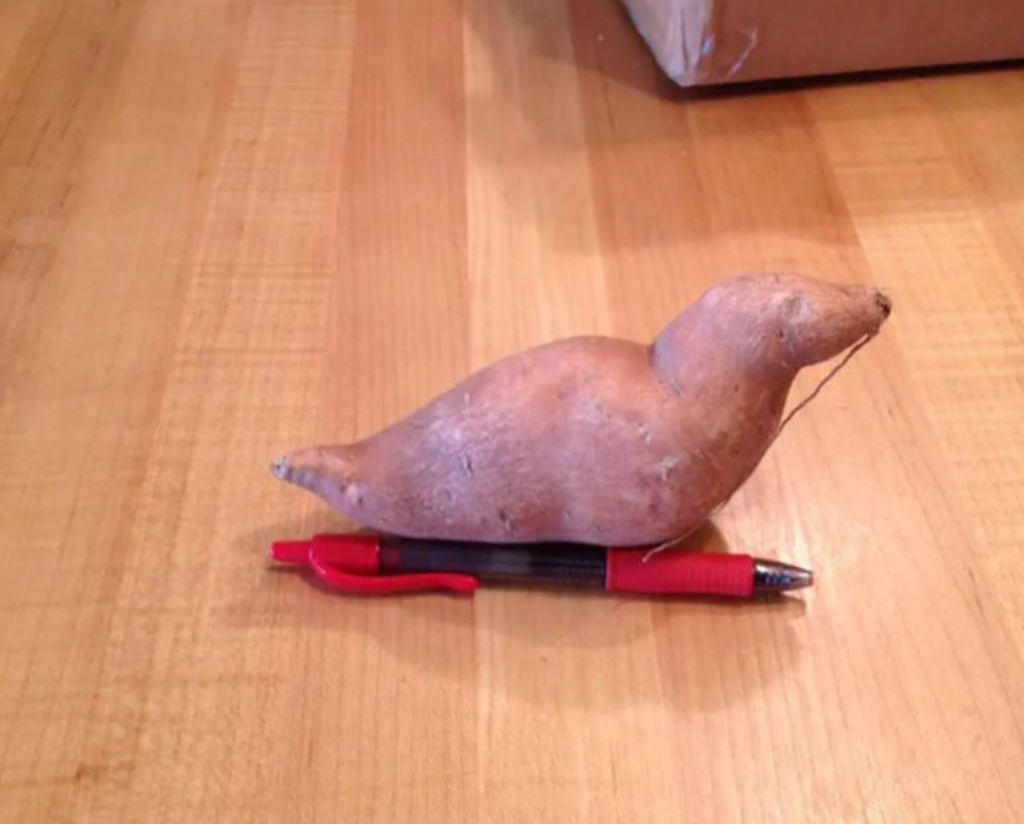 sweet potato looks like seal