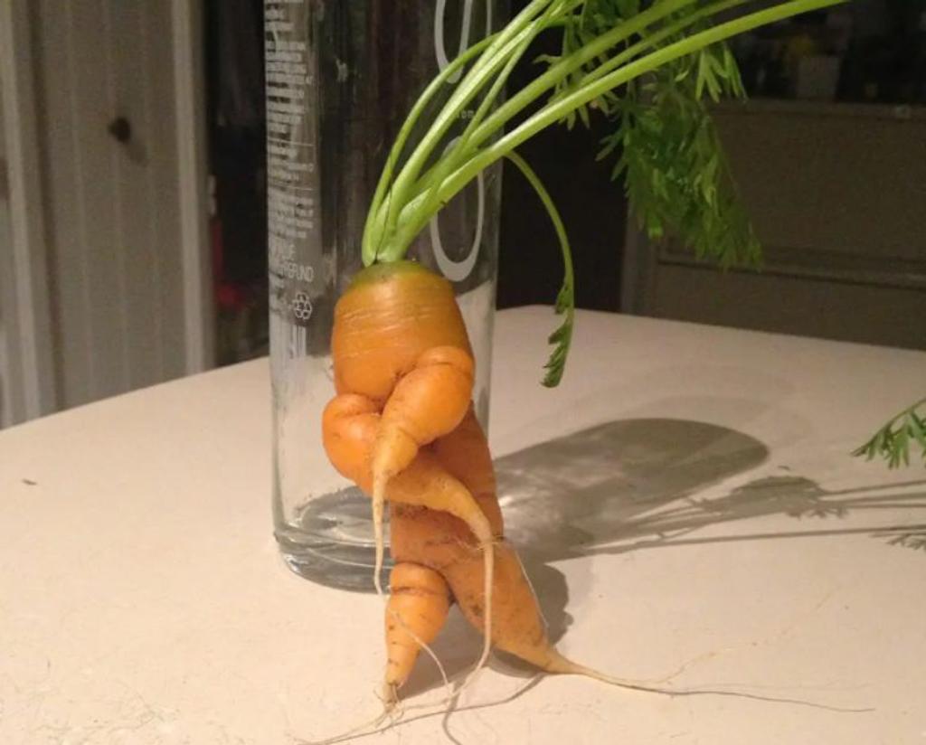 carrot with arms veggie