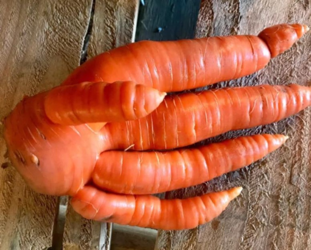hand carrot pareidolia 