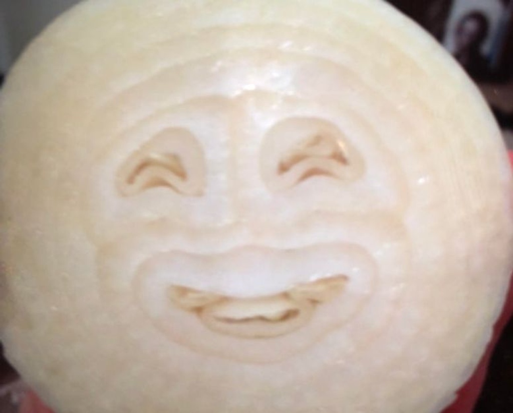 onion face funny