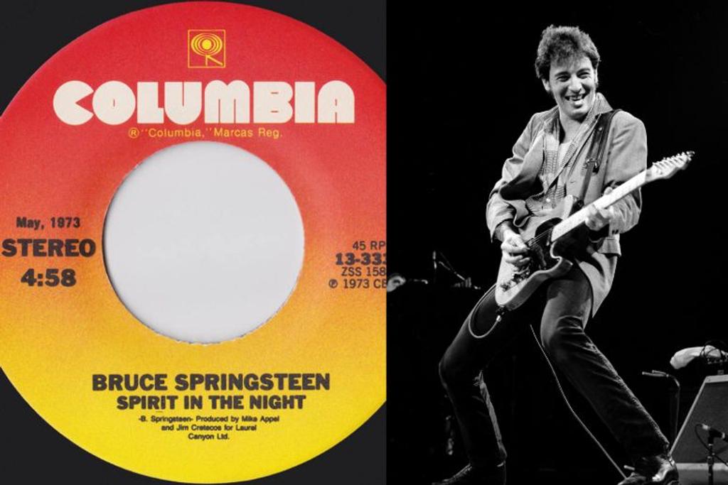 bruce springsteen vinyl record
