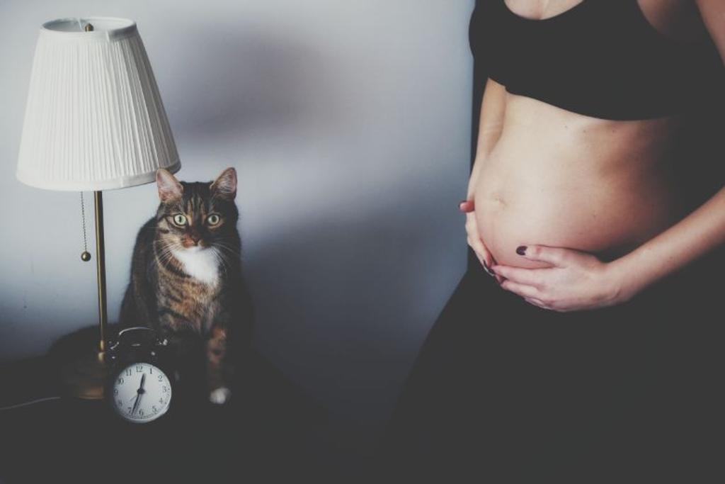 cats pregnant woman myth