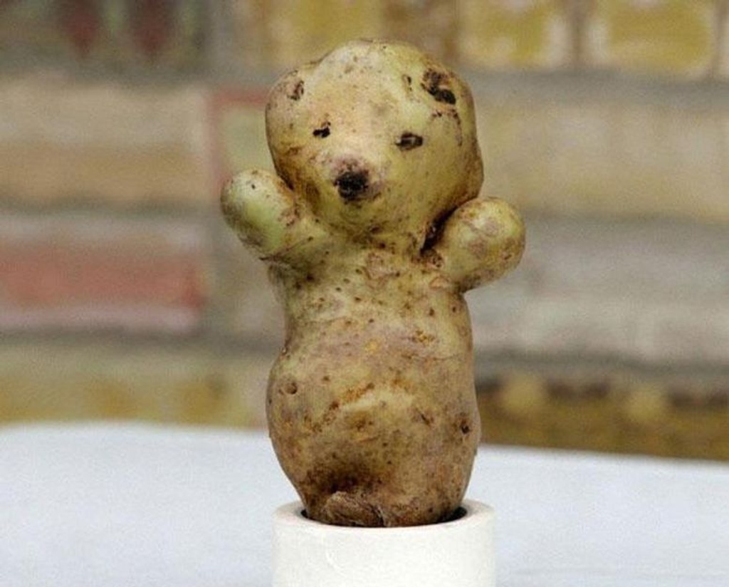 teddy bear potato shape