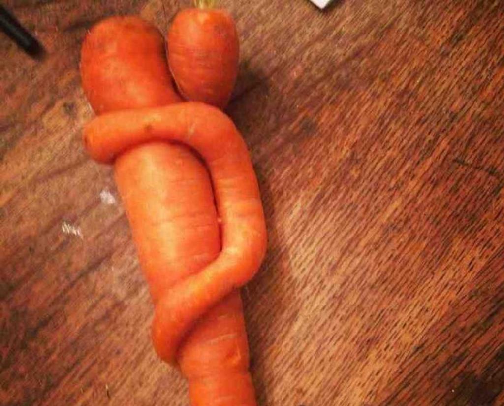 funny carrot vegetable art
