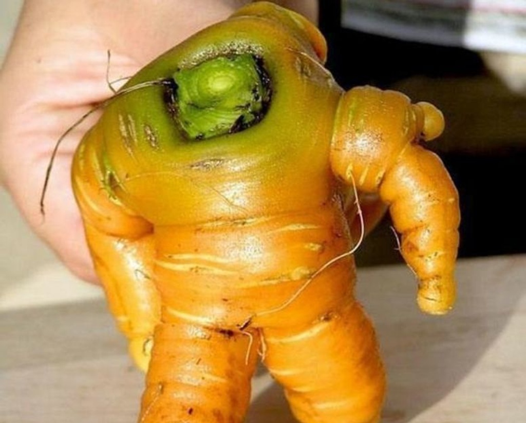 astronaut carrot pareidolia veggie
