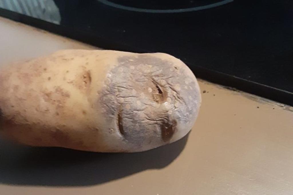 hilarious vegetables potato pareidolia
