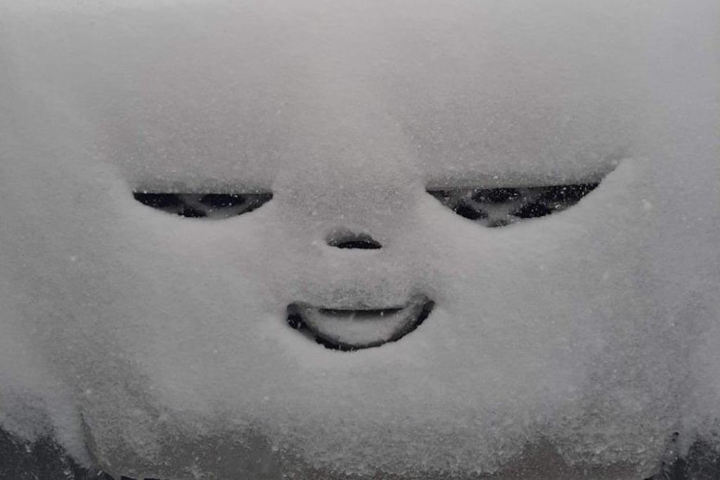 car snowstorm funny viral