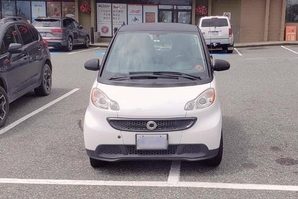 worlds worst parking jobs