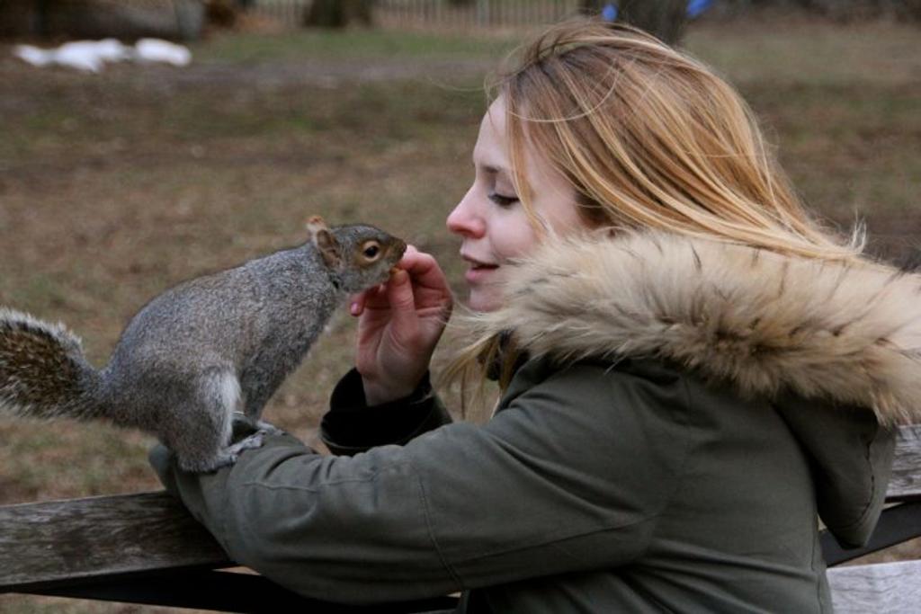 animal rescue viral squirrel
