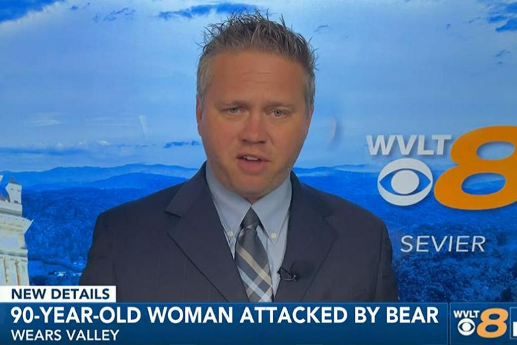 Bear Attack, News Story