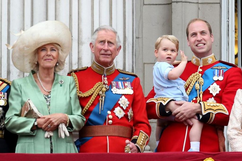 Camilla Royal Family Queen Consort