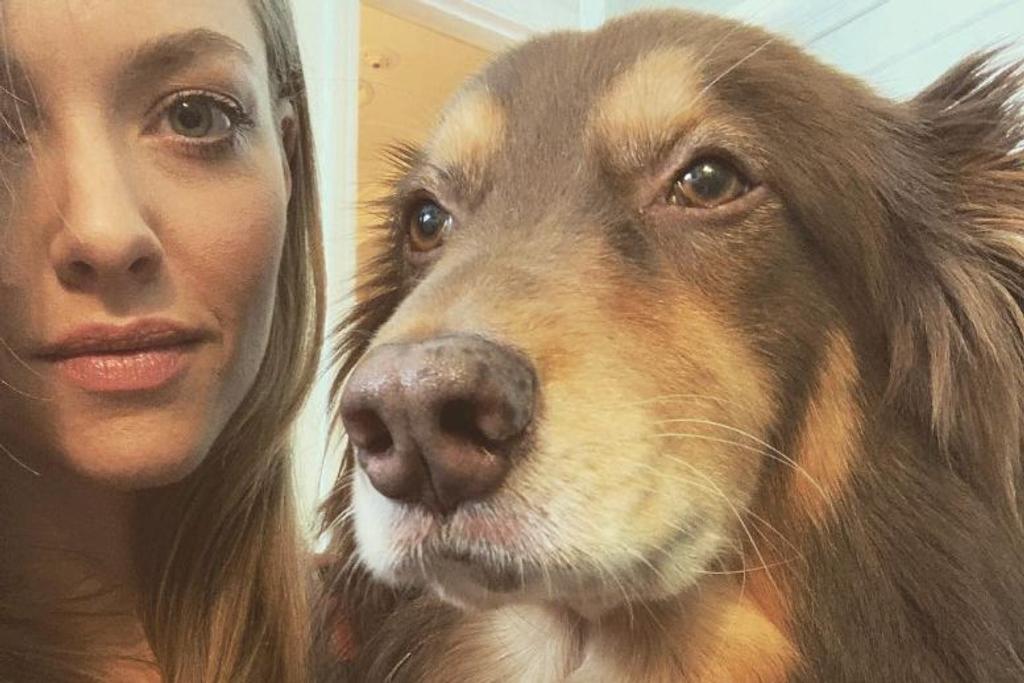 Amanda Seyfried Dog Selfie
