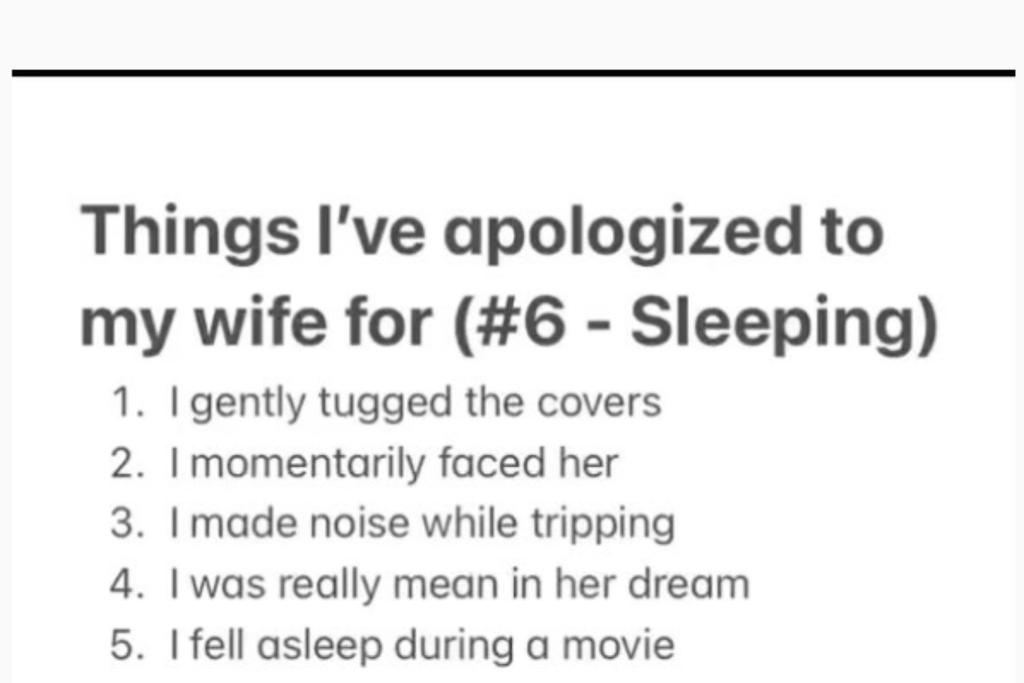 Viral Husband Funny Apology