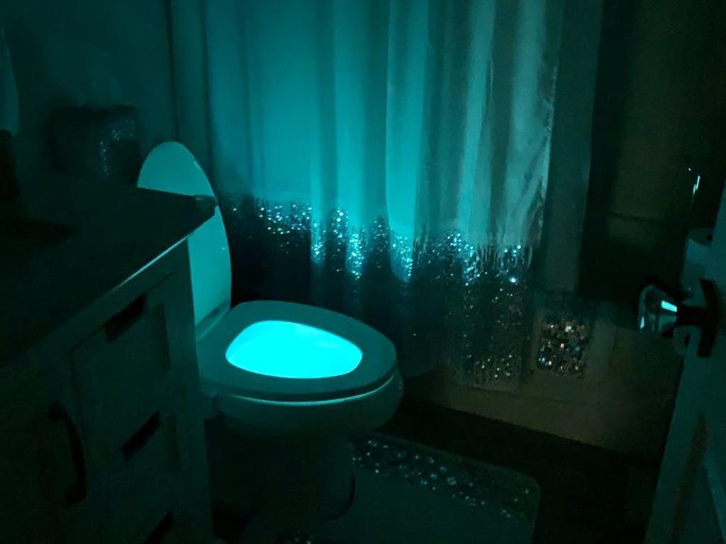The Original Toilet Night Light
