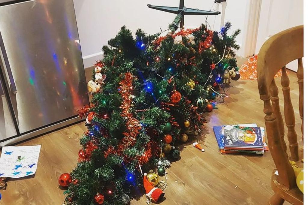 Funny Christmas Tree Photos Viral