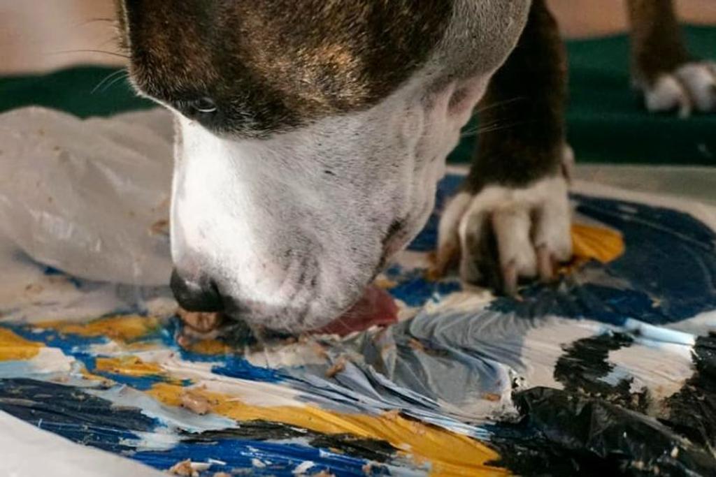 Painting Dog Viral Story Inspiring
