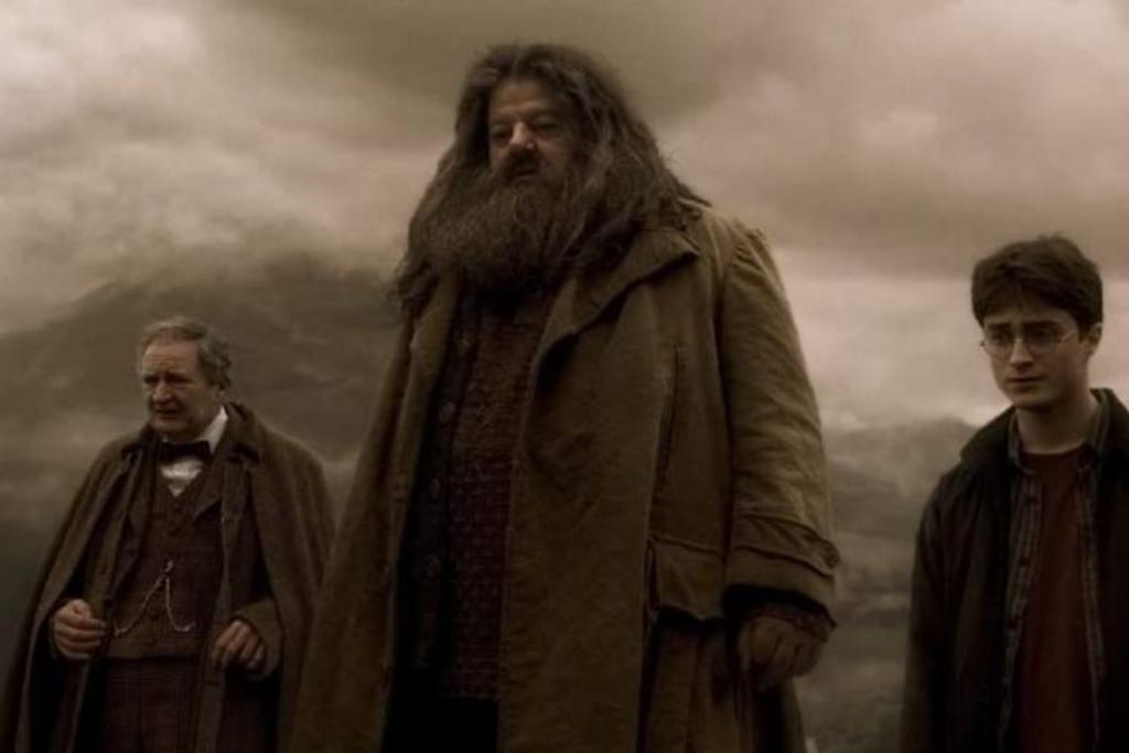 robbie coltrane harry potter Hagrid