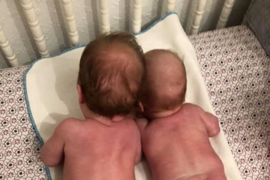 newborn baby twins cute