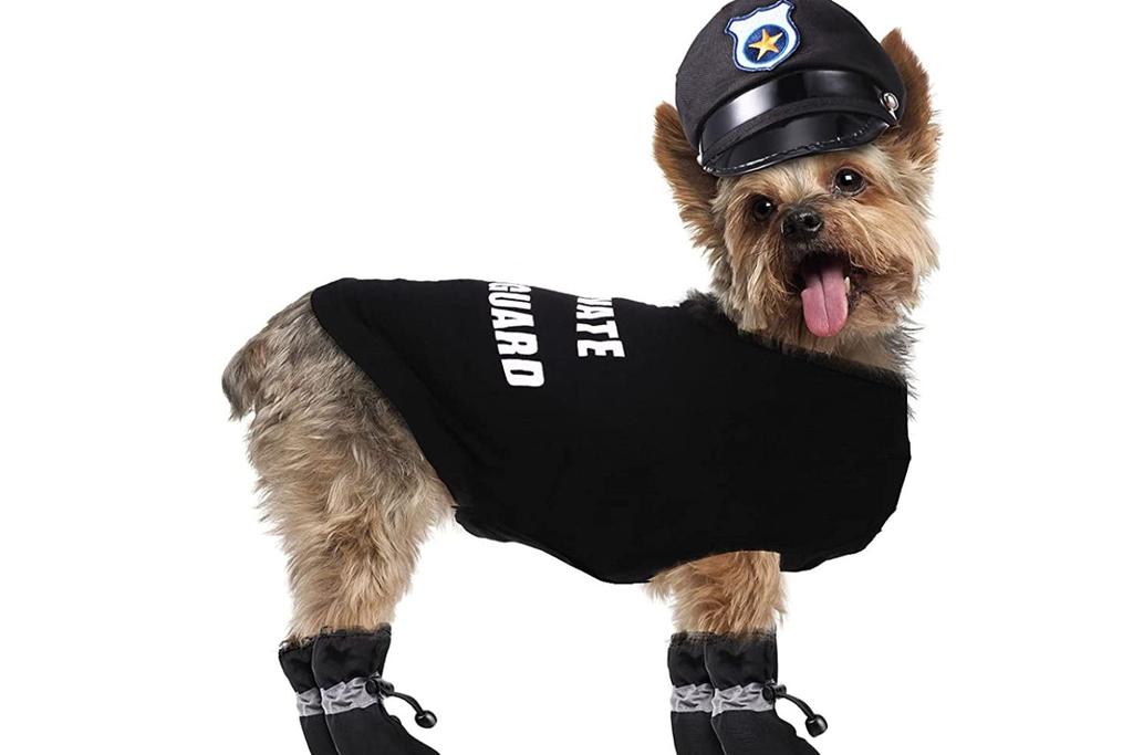 Security Pet Costume