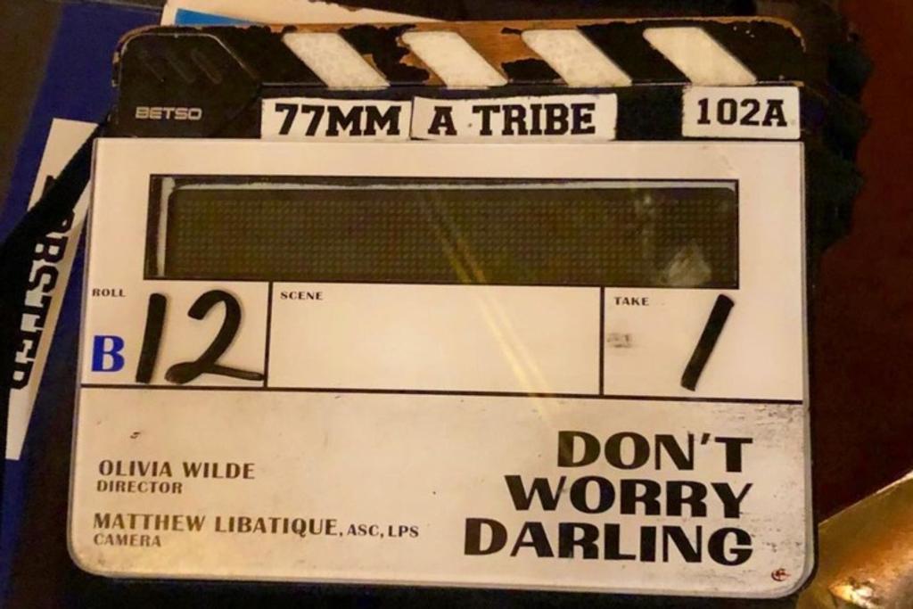 Don't Worry Darling Olivia Wilde Director 