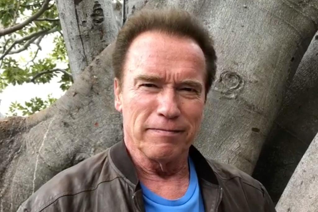 Arnold Schwarzenegger Netflix Fubar
