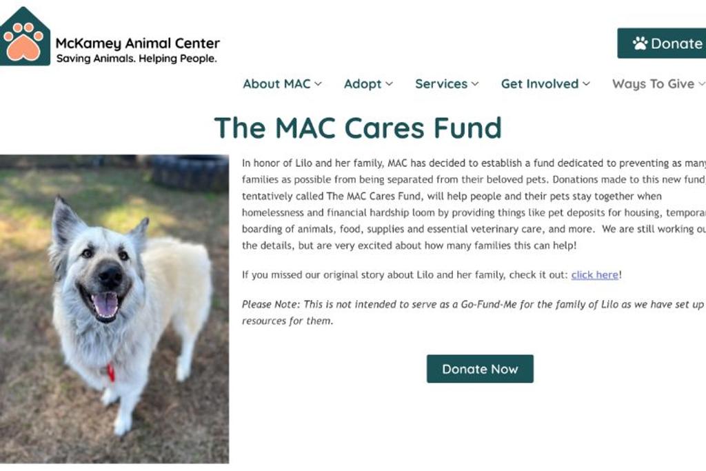 Dog Shelter Donation Fund