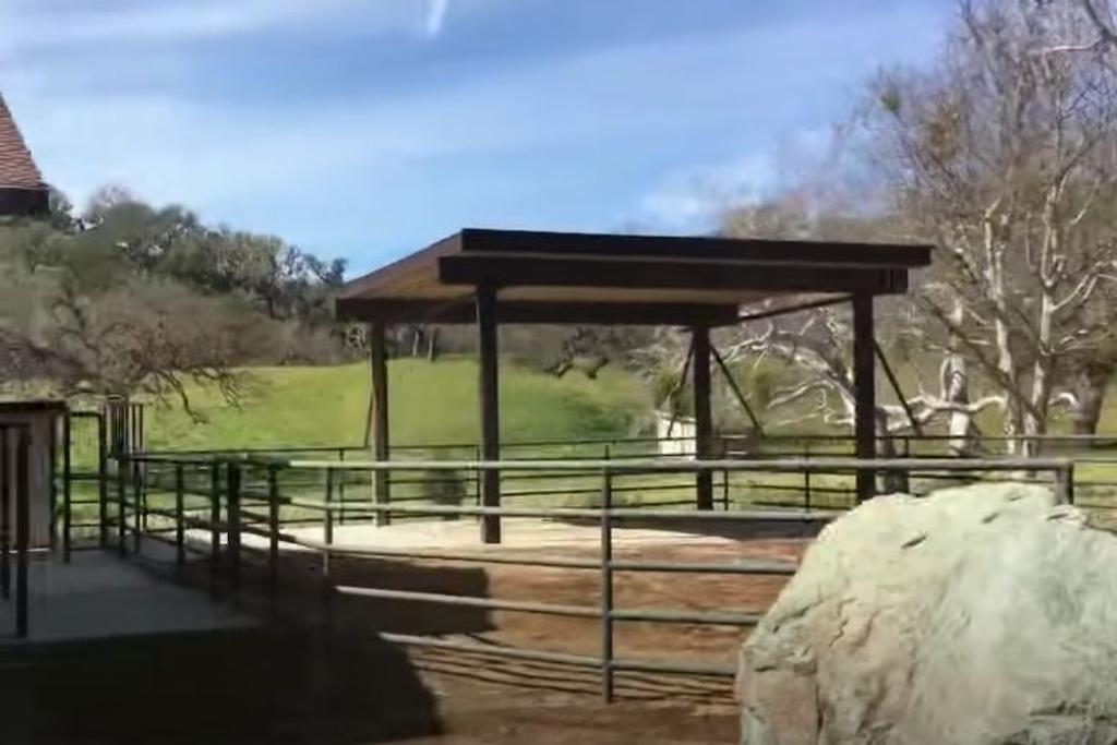 Neverland Ranch Zoo Animals