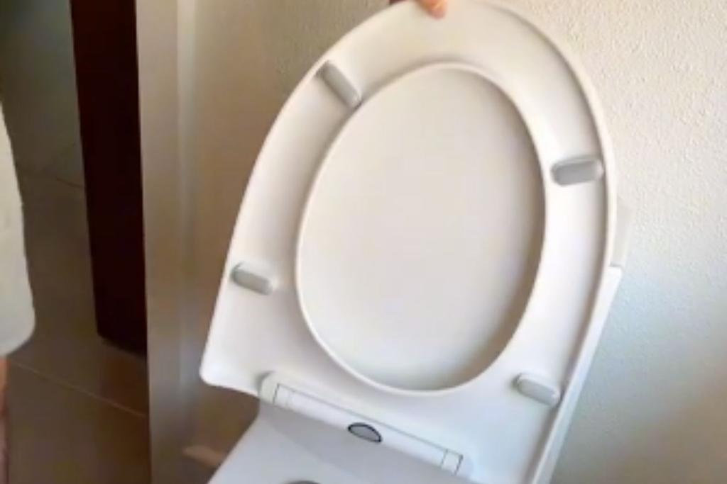 Viral Toilet Seat Hack