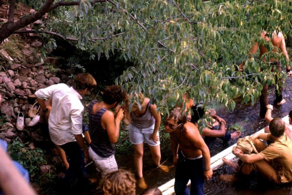 Woodstock Woods Stream Water