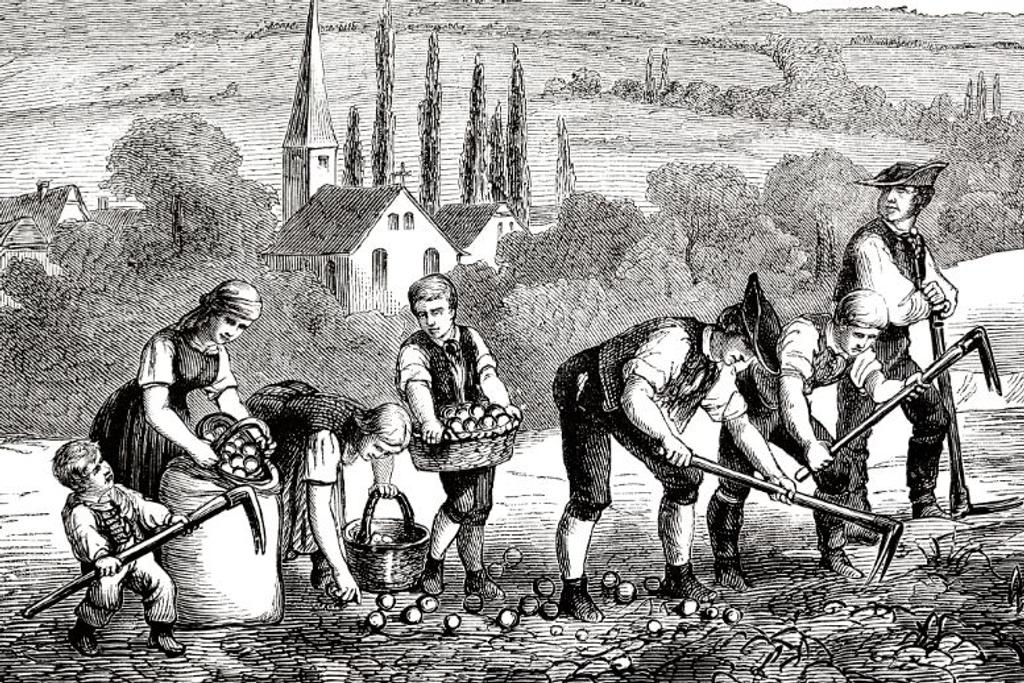England Peasants Field Illustration
