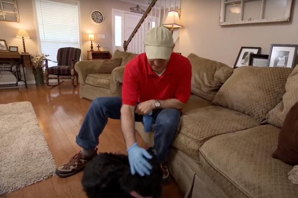 glove grooming pet hacks