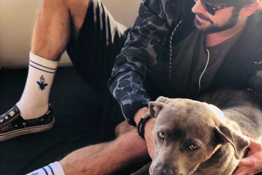 Zac Efron Dog Rescue